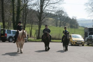 ponies setting off