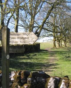 pennine way malham moor