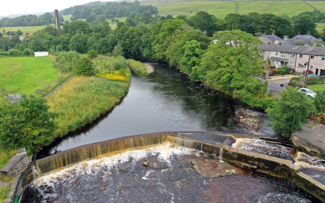 Weir raising funds to help fish